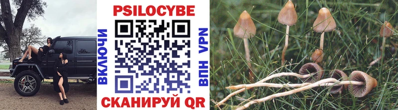 Галлюциногенные грибы ЛСД Купить где Весьегонск